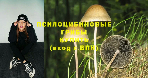молекула духа Алексеевка