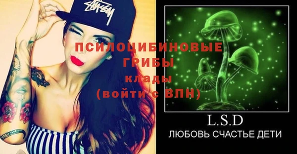 молекула духа Алексин