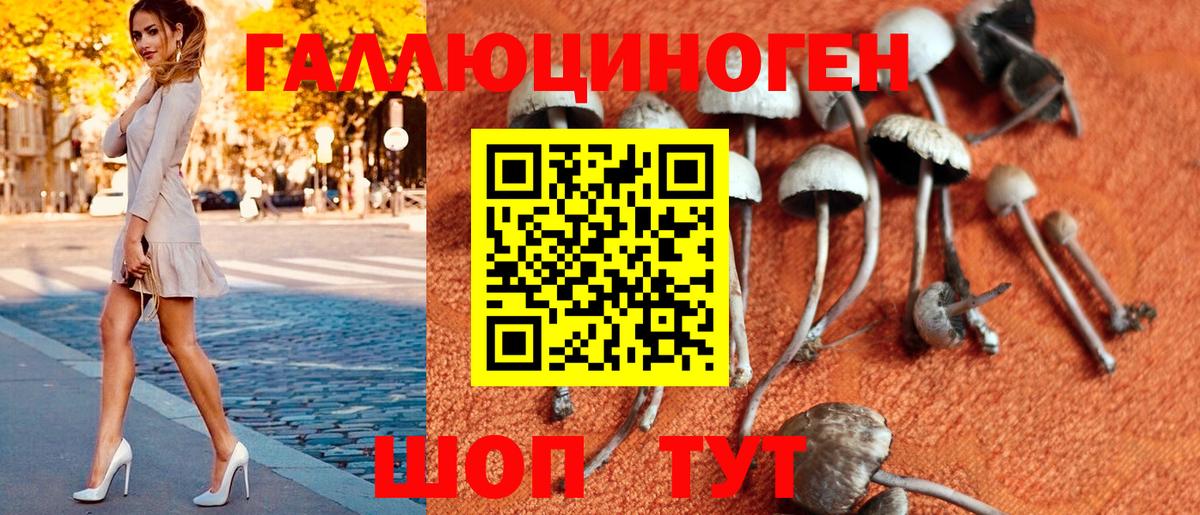 Псилоцибиновые грибы мухоморы Глазов