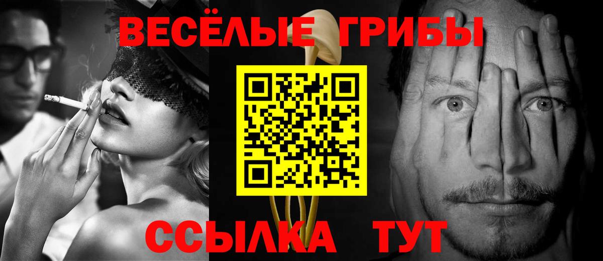 Галлюциногенные грибы Magic Shrooms  Вход с VPN  Глазов  Галлюциногенные грибы GOLDEN TEACHER 